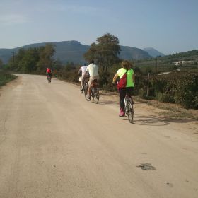 Νεμέα 2016
