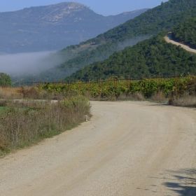 Στυμφαλία 2010