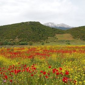 Στυμφαλία 2019 - Η βόλτα